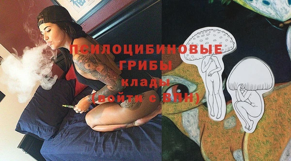 шишки Вязьма